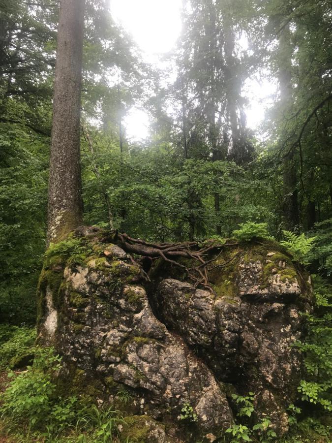 Ferienwohnung Morgentau Am Rande Der Wildnis Sibratsgfäll Buitenkant foto