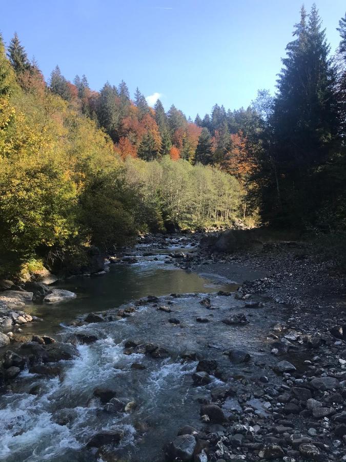 Ferienwohnung Morgentau Am Rande Der Wildnis Sibratsgfäll Buitenkant foto